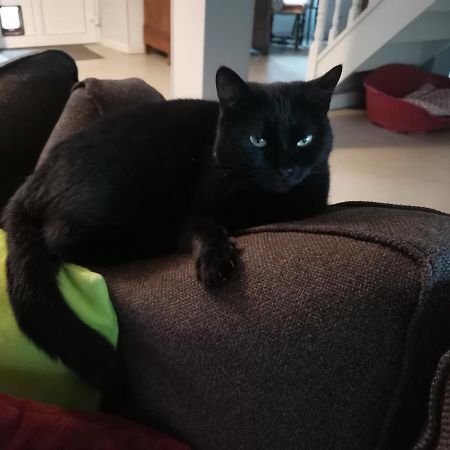Bed and Breakfast Ar Litorienn Paimpont Zewnętrze zdjęcie
