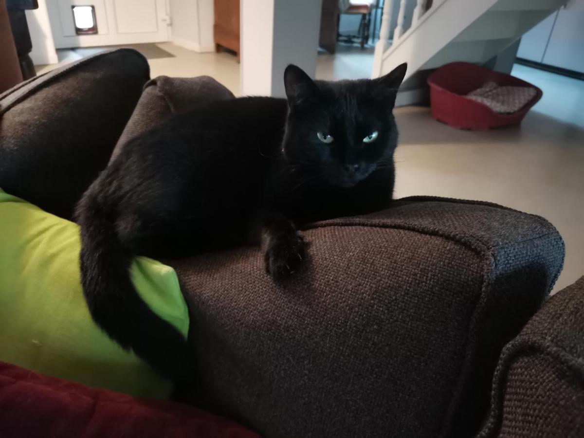 Bed and Breakfast Ar Litorienn Paimpont Zewnętrze zdjęcie